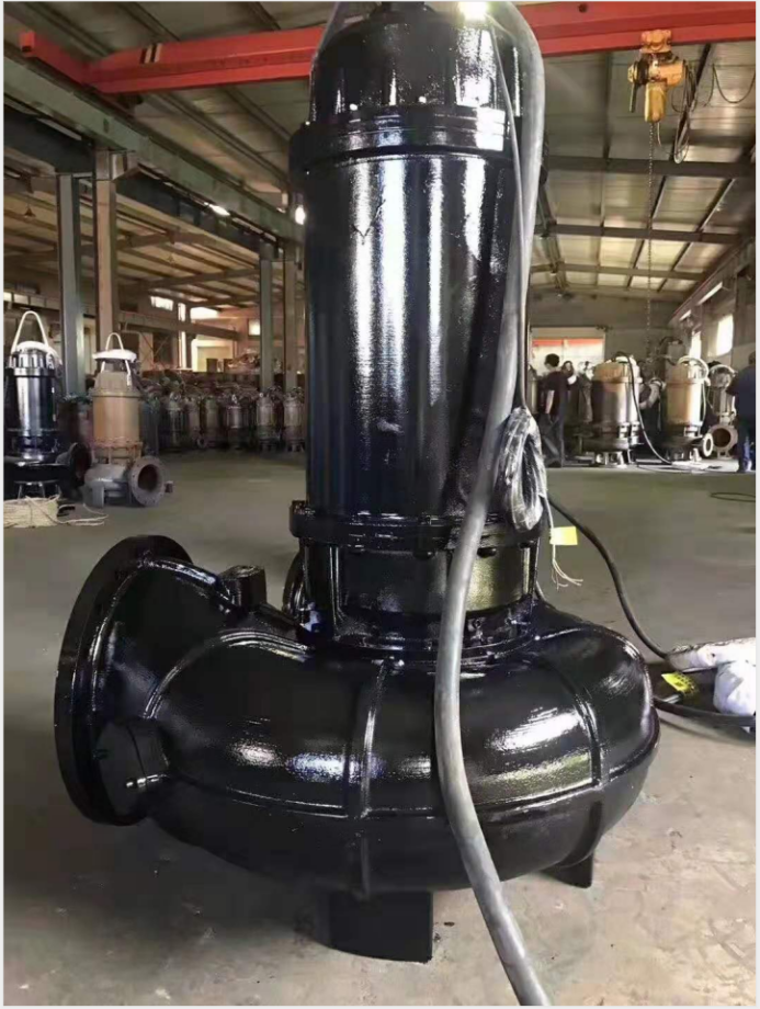 防汛工作要做好，威滬水泵不能少